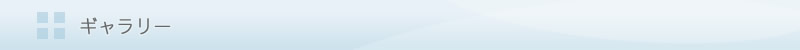 ギャラリー